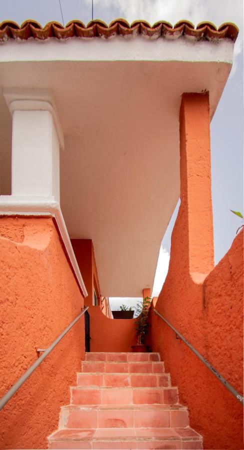 Budgies Cozumel Exterior photo